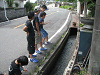 camp23 (15)_samu.gif
